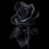 Harif Adepoju's profile picture