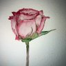 Patri G's profile picture