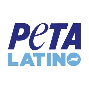 PETA Latino's profile picture
