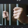 جلنار's profile picture