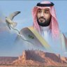 أ.موضي عبدالعزيز الصبيح 的头像