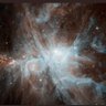 Sirius Orion profil fotoğrafı