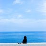 😼LOVE🐱ALWAYS 的头像