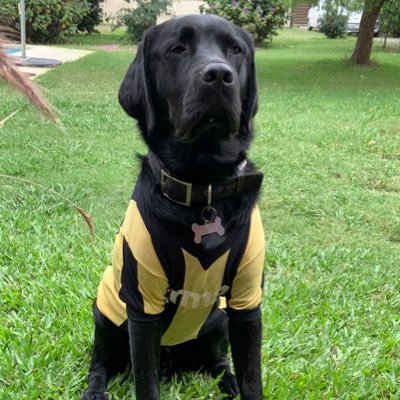 Pablo CAP 🖐🏻's profile picture