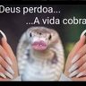 Profilbild von Sucuri não a do Pantanal