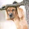 Cas Nozulu's profile picture