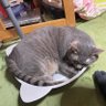 不動産検討遣&投資検討遣's profile picture