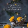 قدري عراقية 的头像