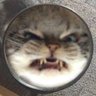 여름 profil fotoğrafı