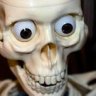 Profilbild von Matthew Mitchell
