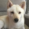 ハルト's profile picture