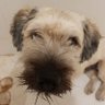 rafa profil fotoğrafı