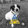 Jiří Doležal's profile picture