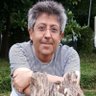 Corpus Ruiz ن's profile picture