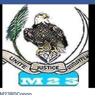 M23_ARC's profile picture