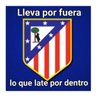 Vizu 🇪🇸🇪🇸's profile picture