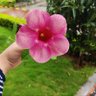 Parul 的头像