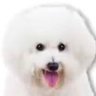 まーやん's profile picture