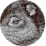 MTPCa⁴'s profile picture