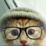 Meow Mau (=^•^=)'s profile picture