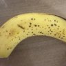 Фото профиля マヨネーズの味噌汁