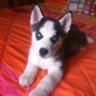 Edu profil fotoğrafı
