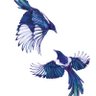 Фото профиля MaGpiE_0616