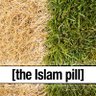 the Islam pill 的头像