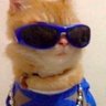 Gummy(z)'s profile picture
