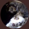 Mad138's profile picture