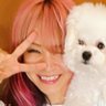 Profilbild von ちゃっぴ@LiSAッ子5/15武道館