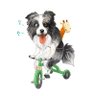 Profilbild von ボーダーコリーのミト君