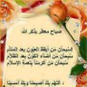 محمد محمد profil fotoğrafı