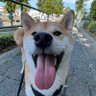 iNSTINCT's profile picture
