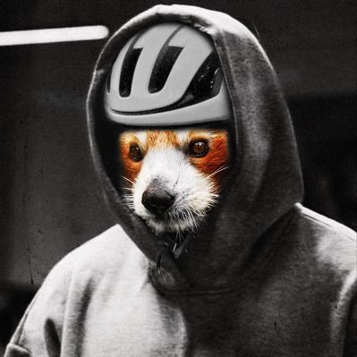 roter_pander's profile picture