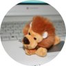 Profilbild von JUNJUN