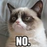 Profilbild von Grumpy Cat Forever (Cats Rule/Dogs Drool)