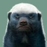 Leo's profile picture
