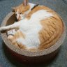 123 456 的头像