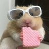 ViYu17's profile picture