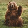 Фото профиля Grizzl D Bear