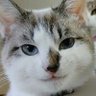 Profilbild von 肴