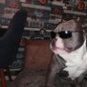 aşkar Car's profile picture