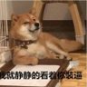 柴木星🇨🇳's profile picture