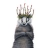 King Badger's profile picture