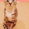 瑠愛 的头像