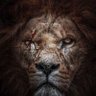 عبد الرحمٰن profil fotoğrafı