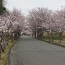 Фото профиля イチッー
