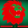 Profilbild von malikhassan