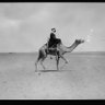 Fayez Al-Shammari's profile picture